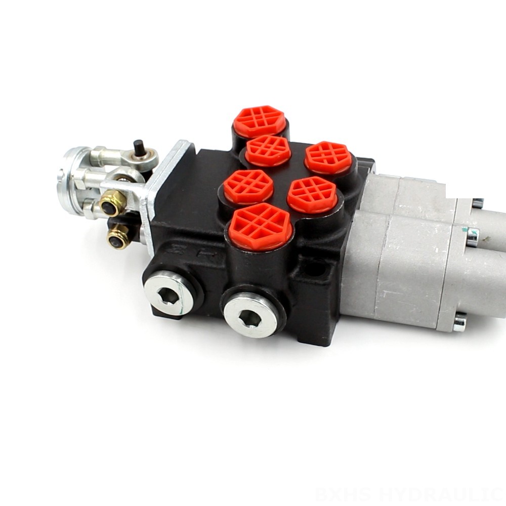 Manufacturer of P40 Monoblock Valves: Wholesale & Customization Available image